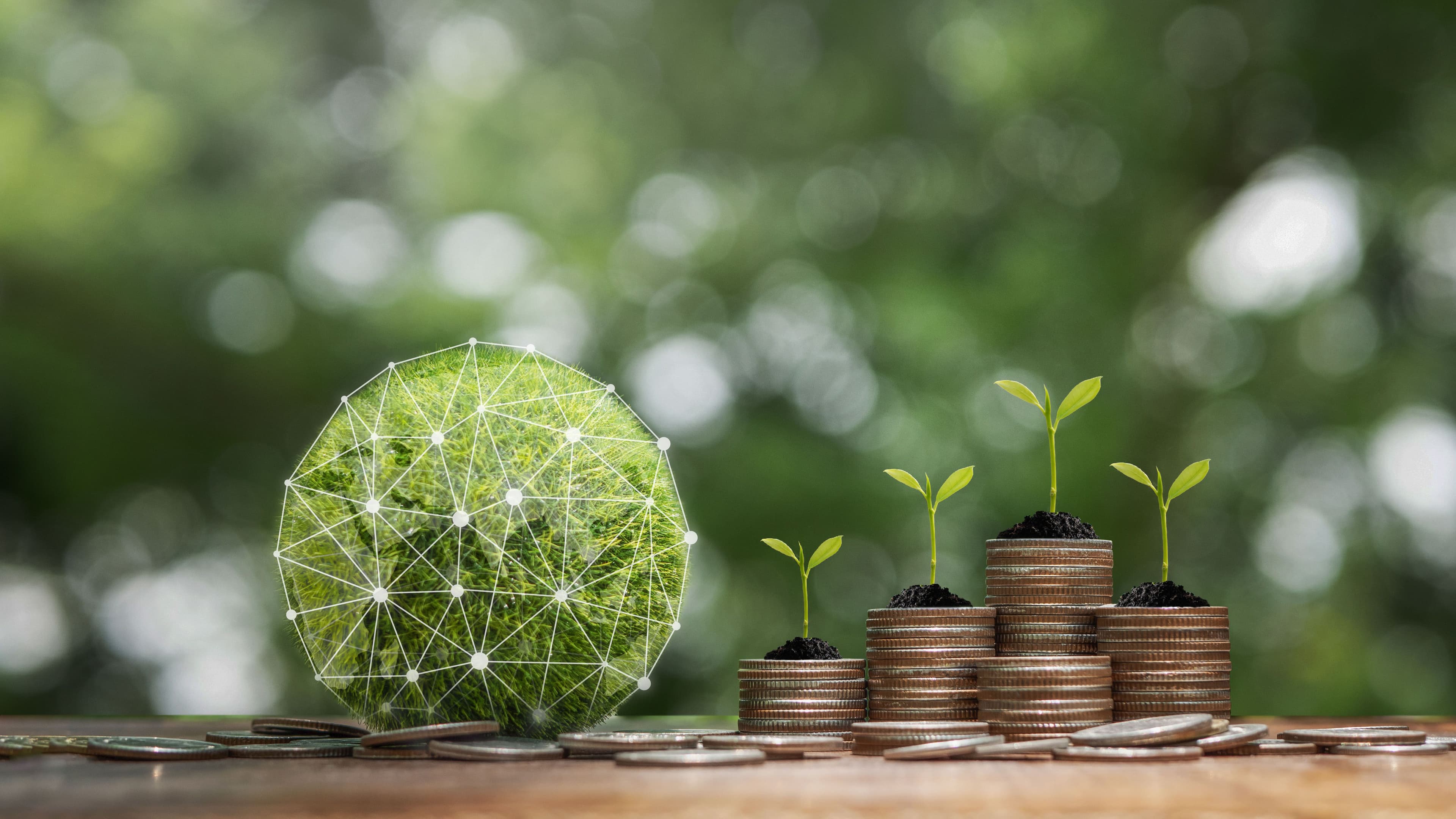 Why ESG reporting will affect almost every company?